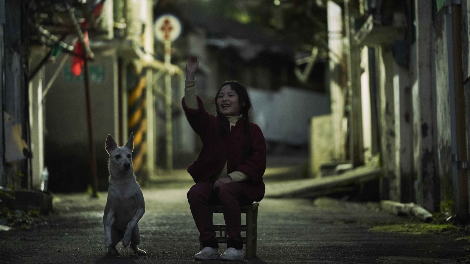 Yang Lan sitting in an alley with a dog